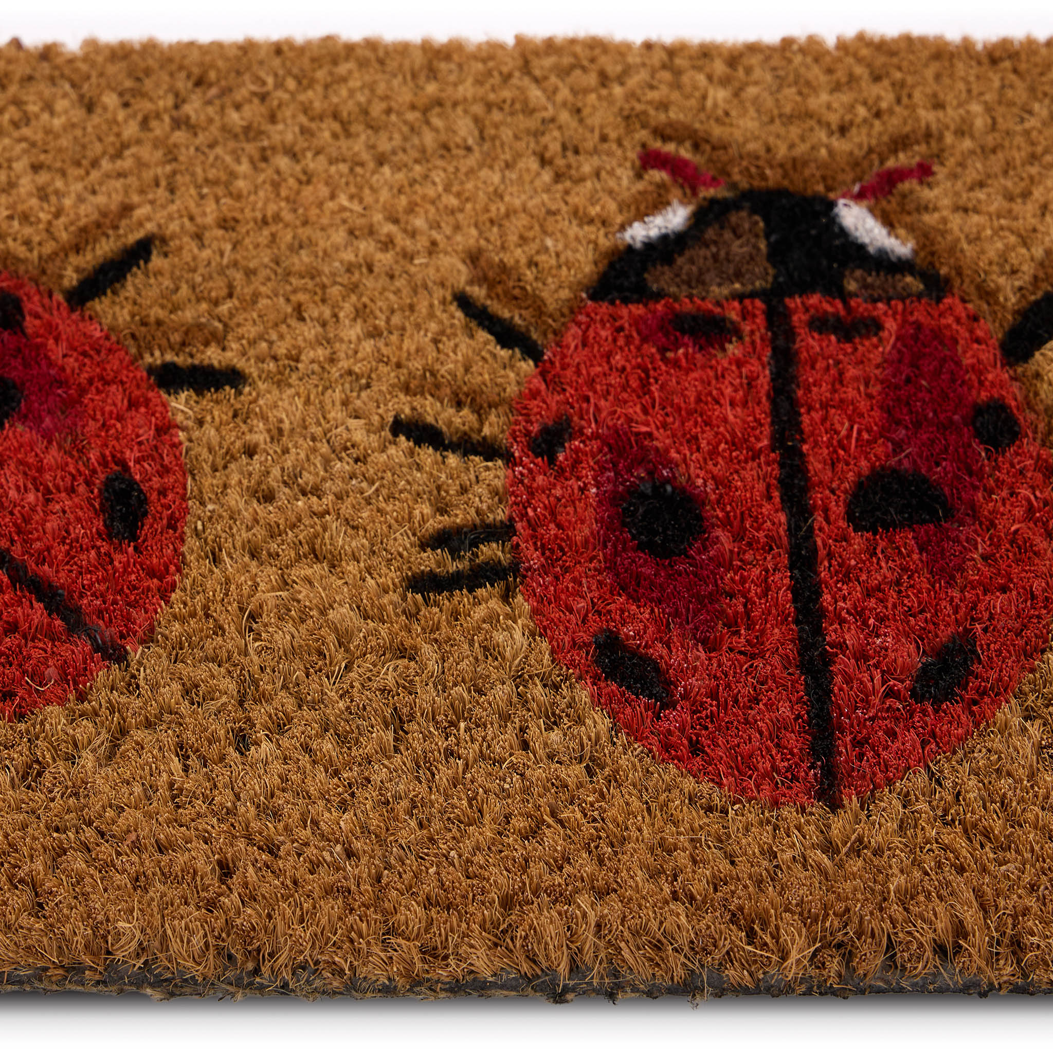 Coir Insert LadyBird Doormat - Image 4