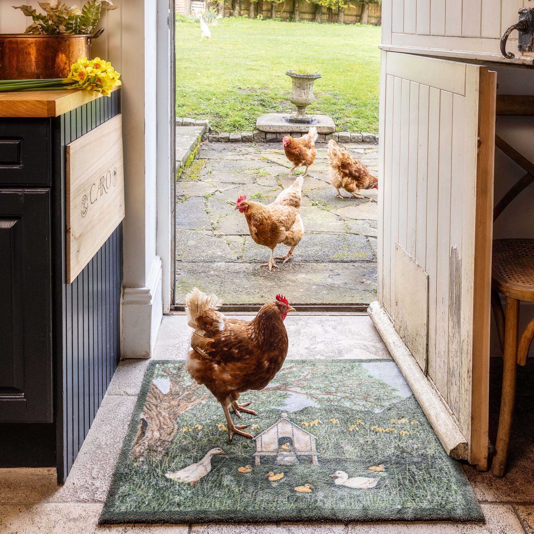 Aura Duck House Washable Doormat - Image 3