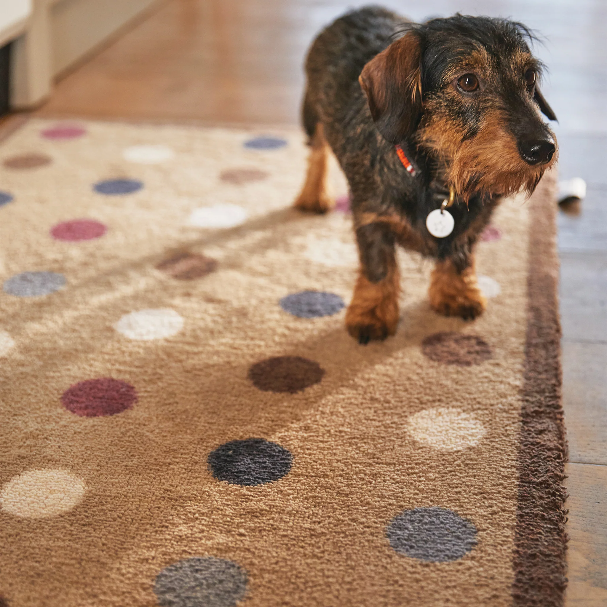 Spot 10 Brown Washable Doormat - Image 3