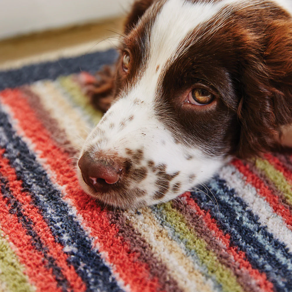 Stripe 32 Multi Washable Doormat - Image 2