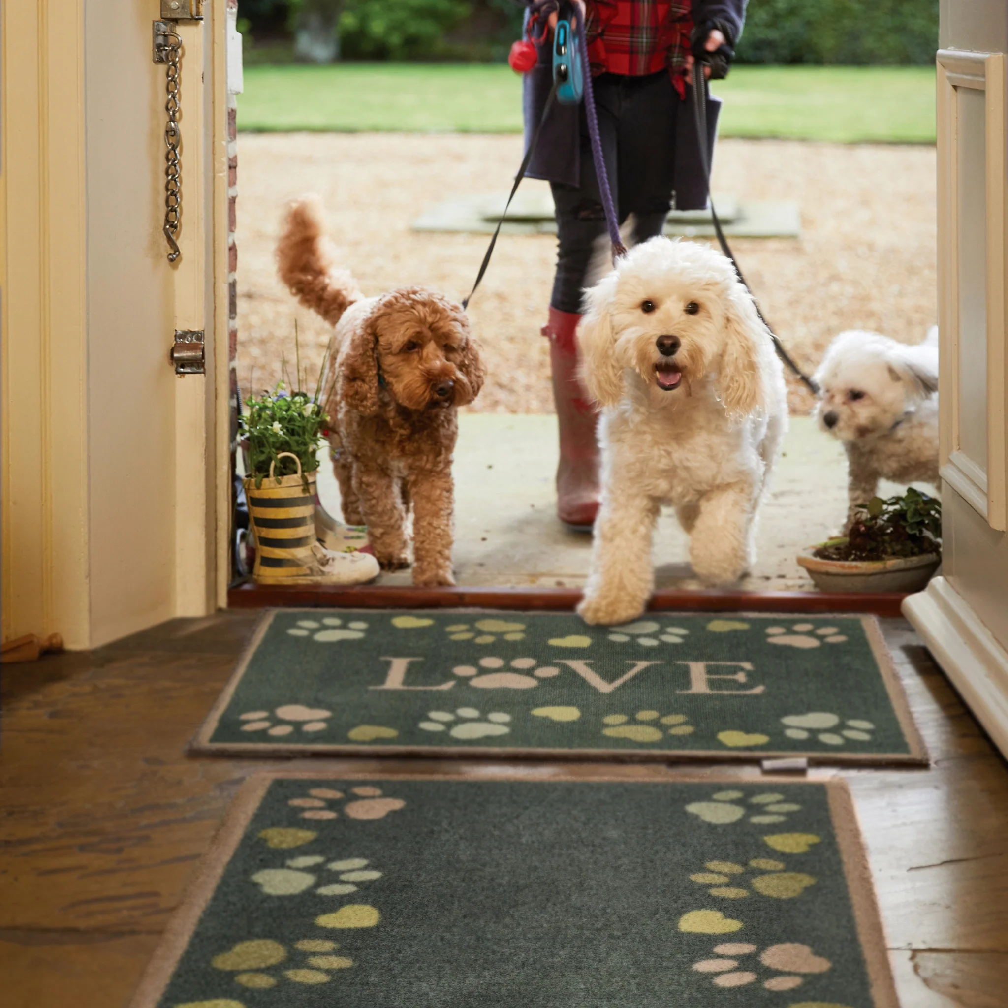 Love Paws Green Washable Runner - Image 3