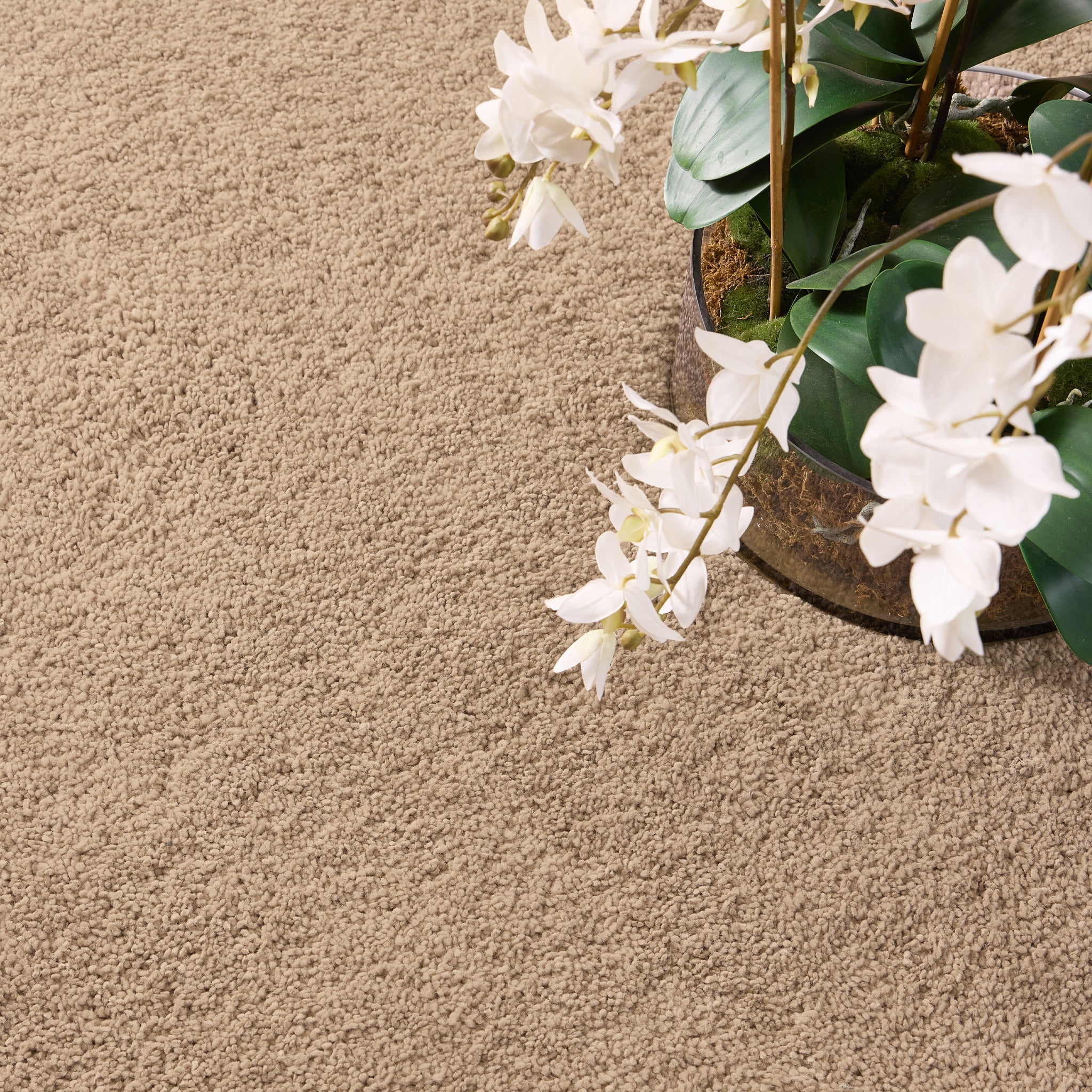 My Lux Stone Rug - Image 6