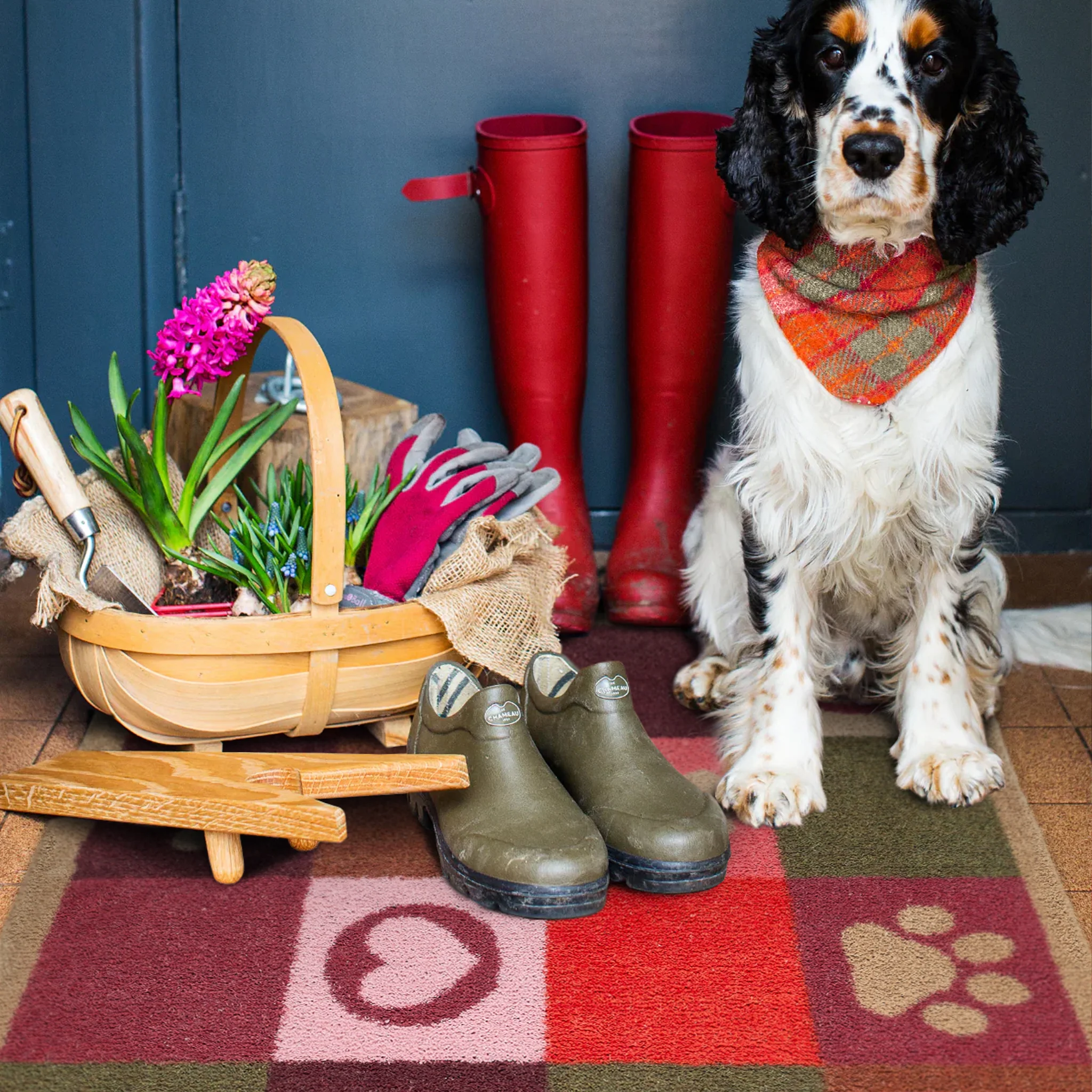 Patchwork Paws Washable Doormat - Image 3