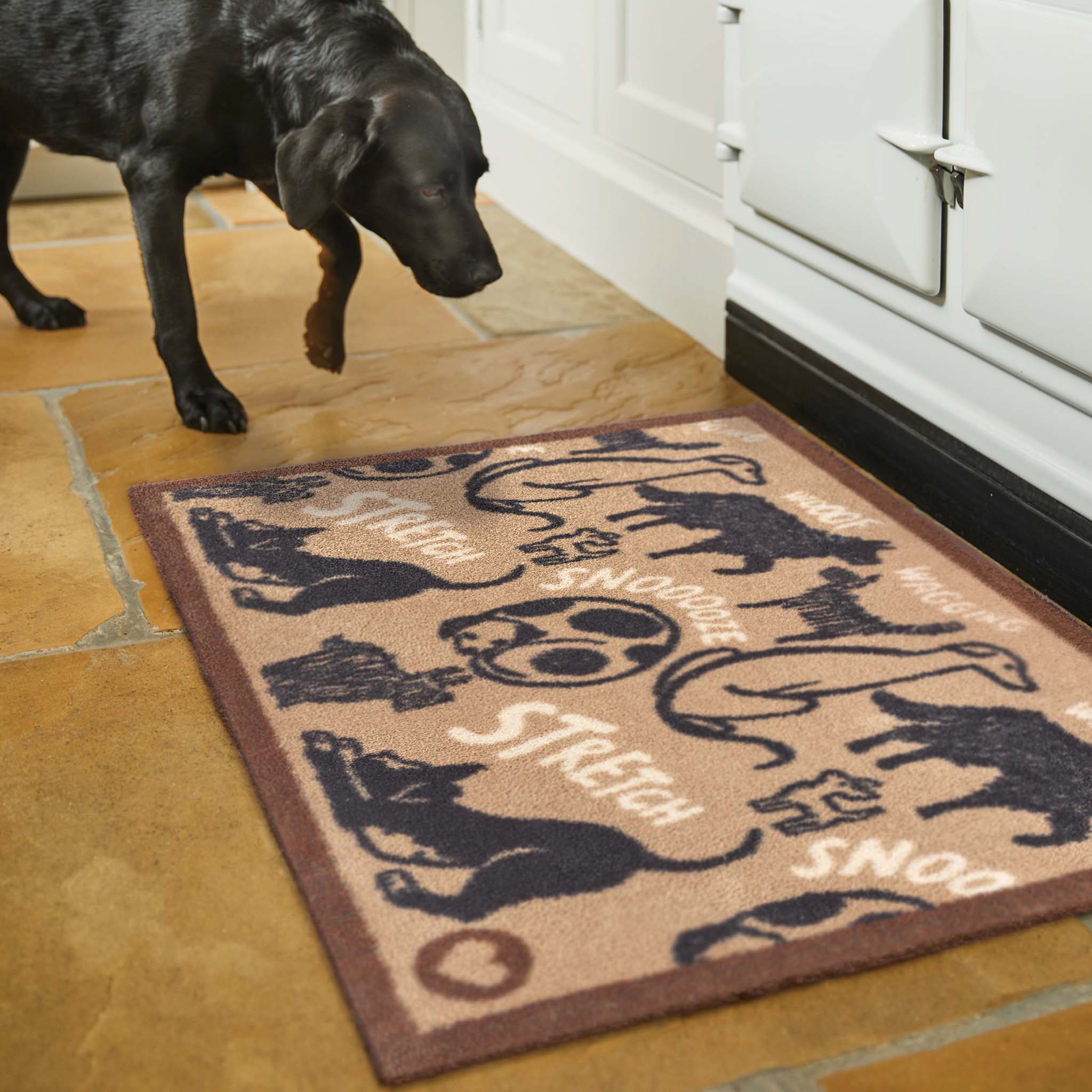 Pet 95 Washable Doormat - Image 3