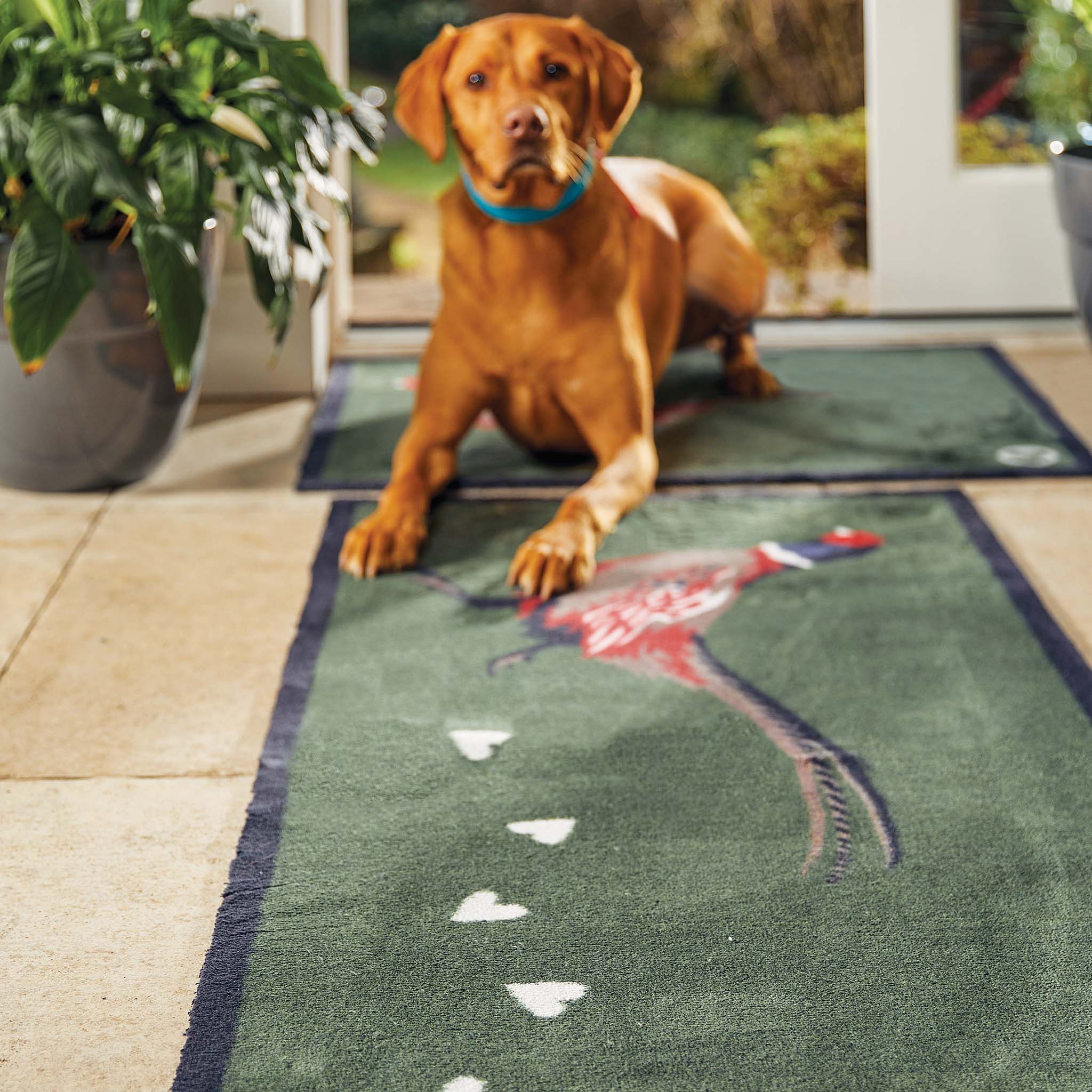 Pheasant Green 2 Washable Runner - Image 3