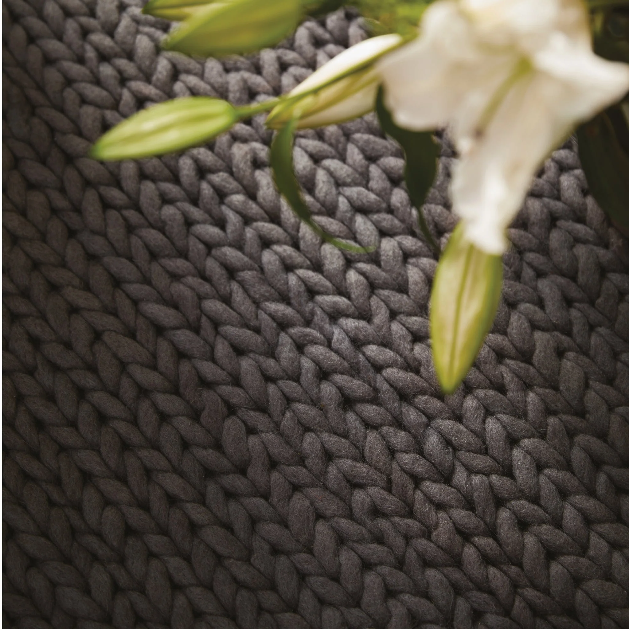Fusion Rug Fossil - Image 4