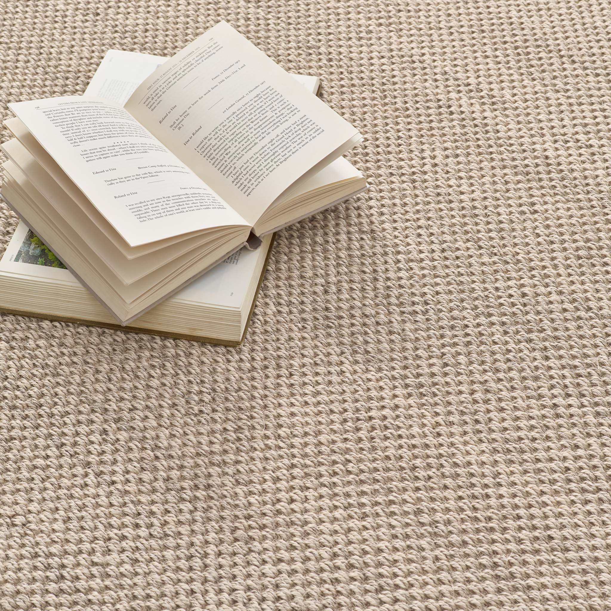 Sisal Light Beige with Sand Border Runner - Image 5