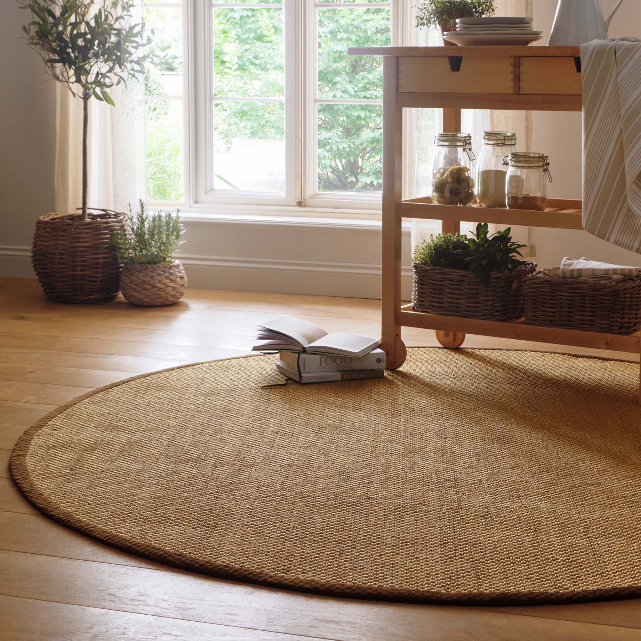 Sisal Natural with Dark Brown Border Rug - Image 5