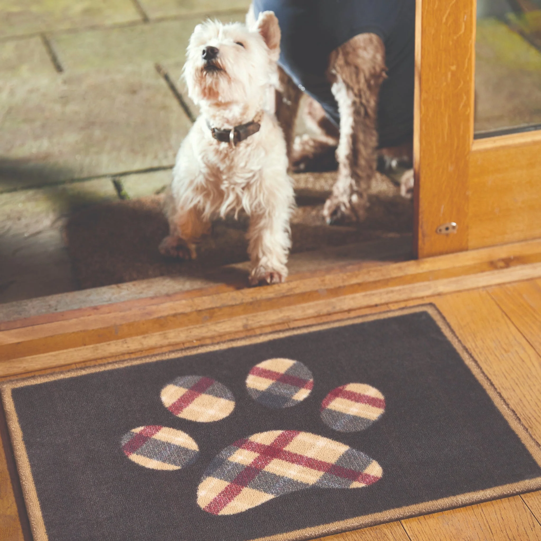 Tartan Paw Navy Washable Doormat - Image 3