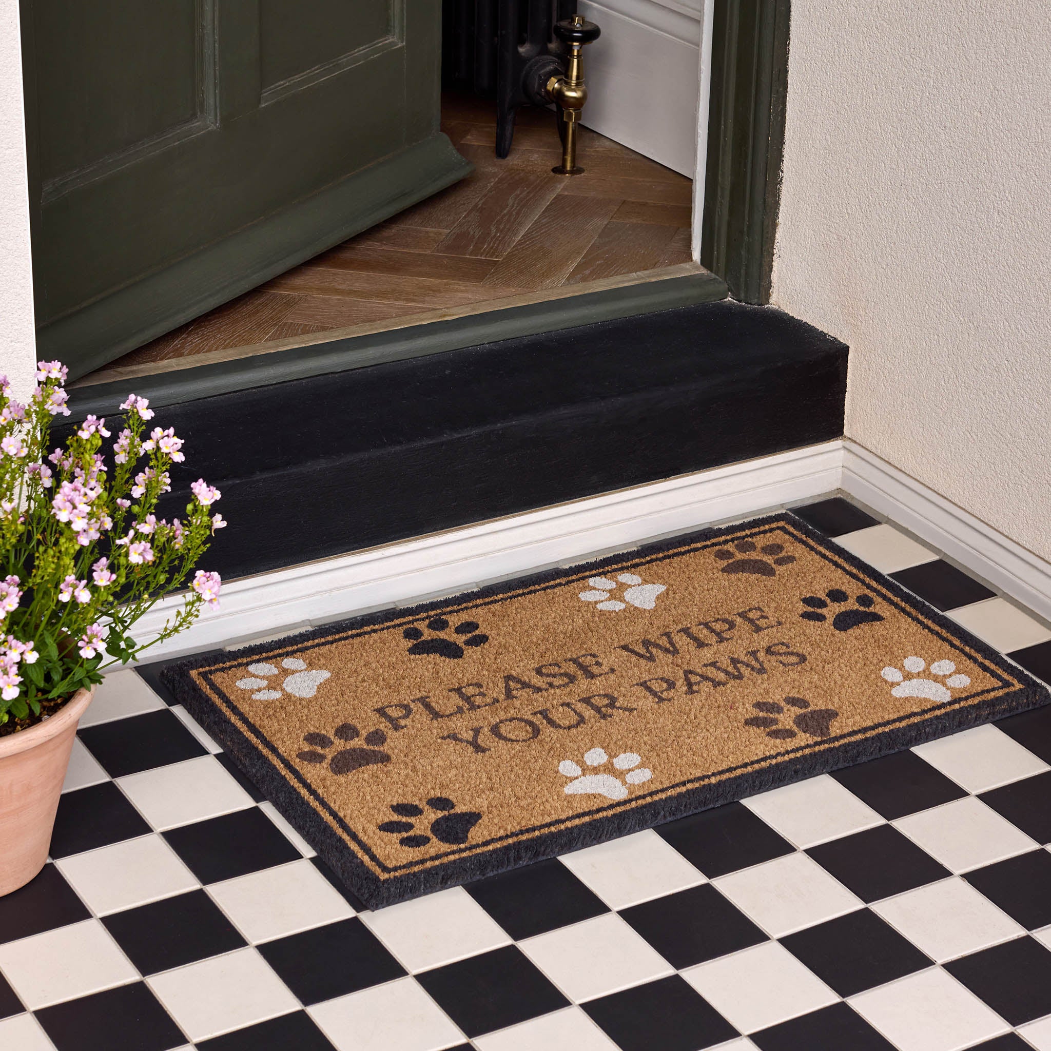 Wipe Your Paws Border Coir Doormat - Image 2